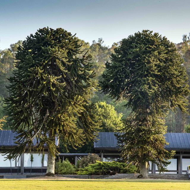 JFK Arboretum visitor centre
