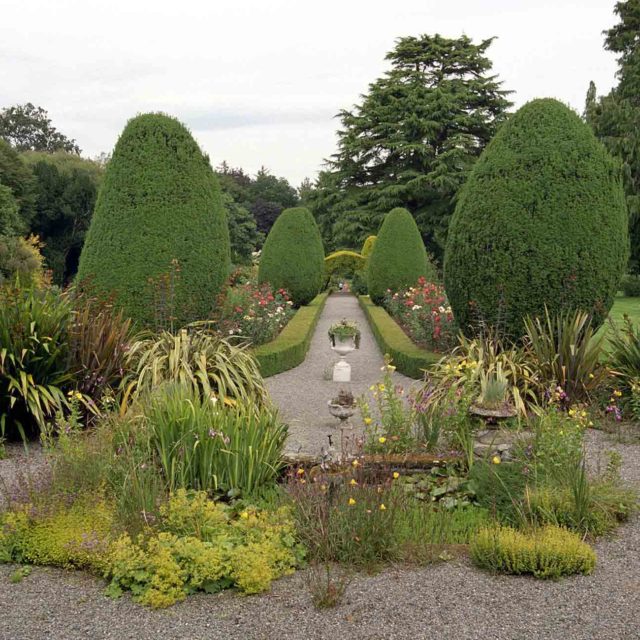 Tree Tours at Altamont Gardens
