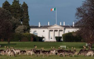 View of tricolour flying over Áras an Uachtaráin with deer in forground