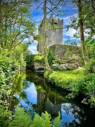 view of the castle from the river