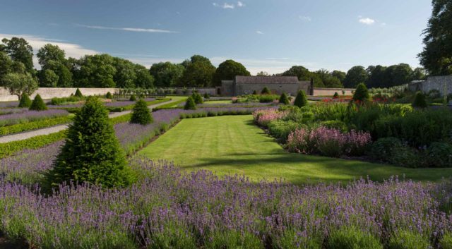 View of the garden from the tearoom terrace
Credit Jonathan Hession View of the garden from the tearoom terrace