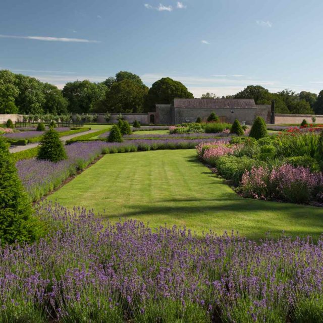 View of the garden from the tearoom terrace