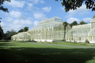 Botanic Gardens glasshouse
