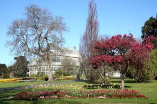 Garden view of Botanic Gardens glasshouse