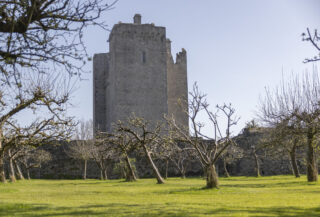 exterior view of the castle from the orchard