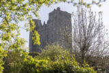 a castle framed by trees and shrubbery