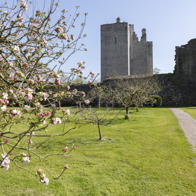 Life in Medieval Ireland: An Exhibition