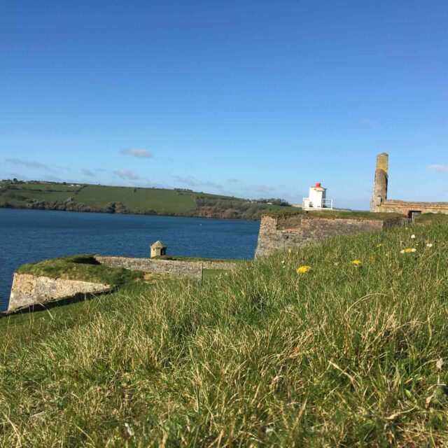 Coastal Management Citizen Science and Seagrass