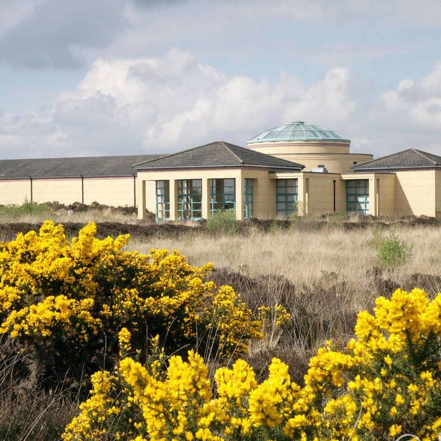 Fascinating Hare Facts Display