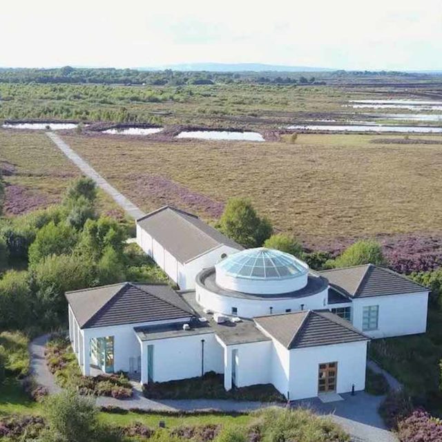 Sidhe Art Activities : Bealtaine Celebration