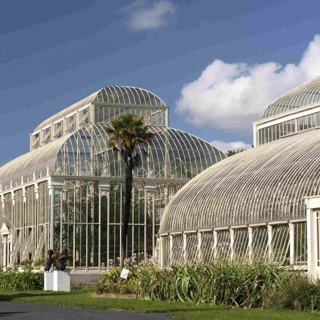 National Botanic Gardens of Ireland, Glasnevin