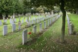 View of graves and tree at Grangegorman Cemetery