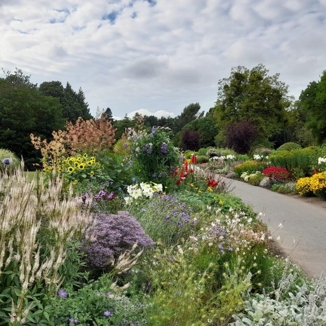 Léacht an Earraigh: Cuireann RHSI Oliver Shurmann i láthair: ag ceiliúradh 25 bliain de naíolann Mount Venus