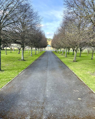 Long shot of a pathway within the memorial gardens leading up to a garden temple, framed by bare trees on either side of the path