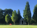 Evergreen trees, lush with green leaves, surround a garden temple, almost hidden behind their expanse