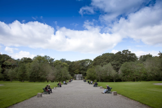 Wide shot of the walkway within Iveagh Gardens. The concrete pathway is framed by people sitting on benches on either side, with full, green trees touching the blue sky in the background of the image.