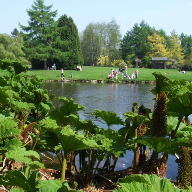 Pond Dipping with Nature/Biodiversity Teacher Lorraine O Sullivan at the JFK Arboretum.