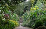 Image of Killmacurragh National Botanic Gardens