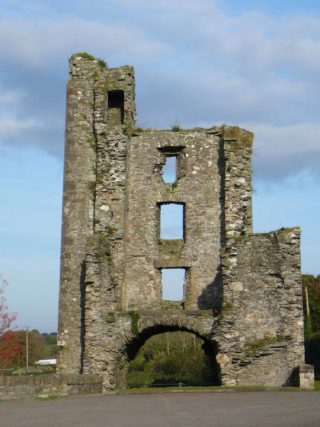 Ruins at Mellifont Abbey