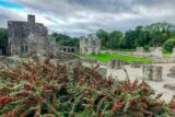 Old Mellifont Abbey, Tullyallen