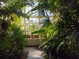 Great Palm House interior