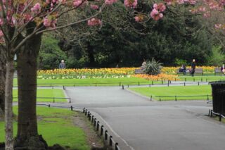 St Stephen's green paths and flowerbeds