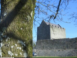 exterior view of the Castle, with the trunk of a tree in the foreground
