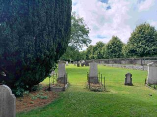a yew tree stands in the left foreground with gravestones to the right and background of image