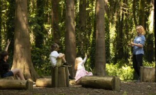 Children in the woods in the outdoor classroom