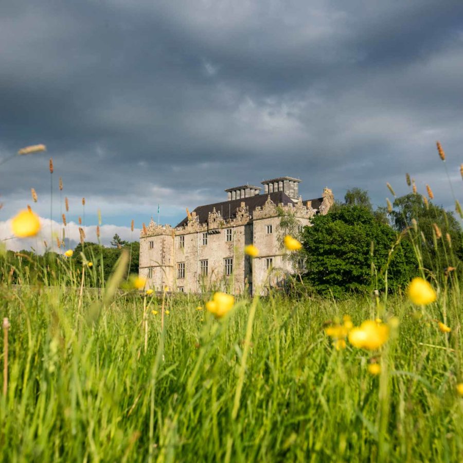 Portumna Castle framed by wildflowers.