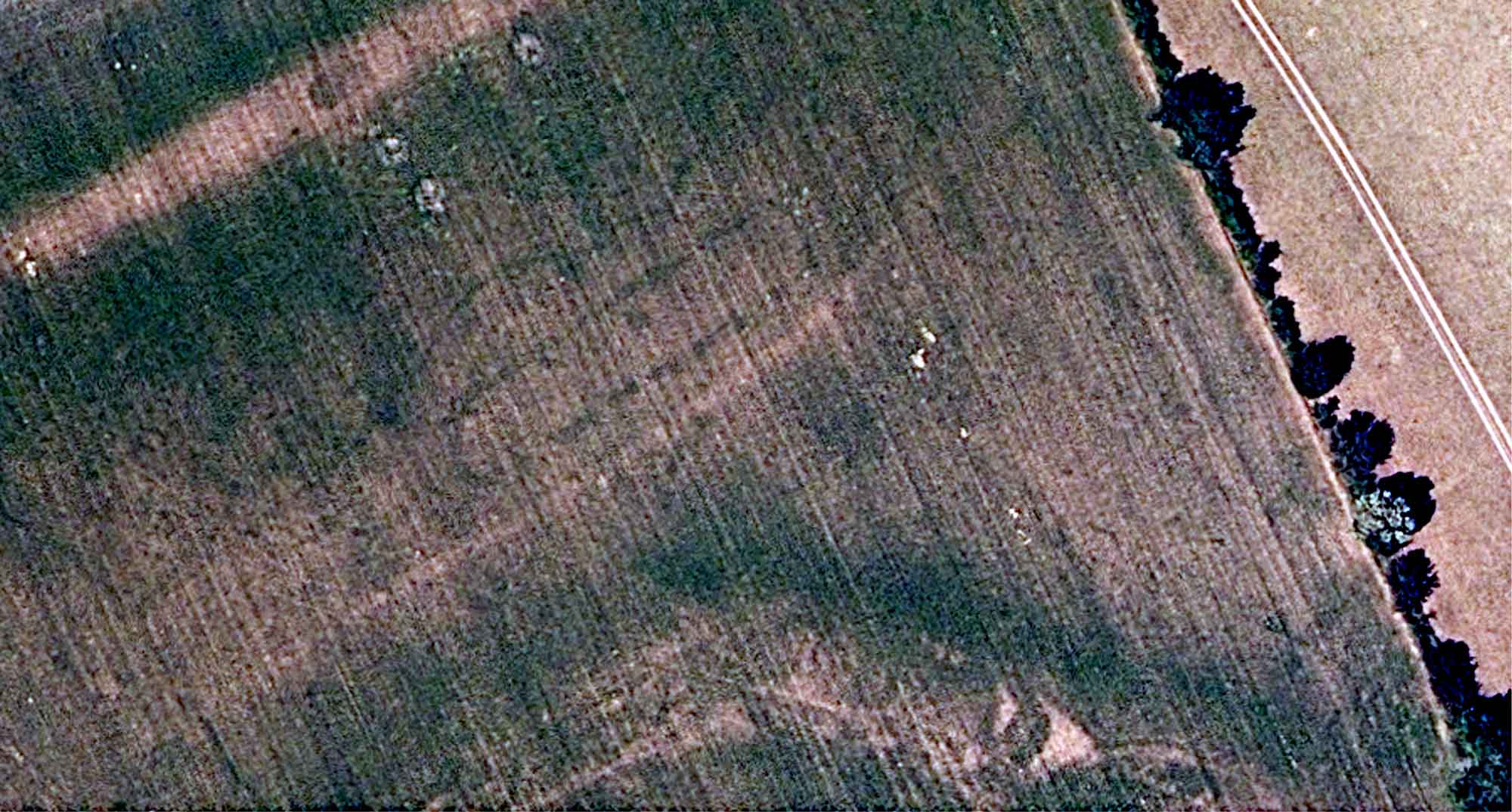 Image showing Oblong Enclosure