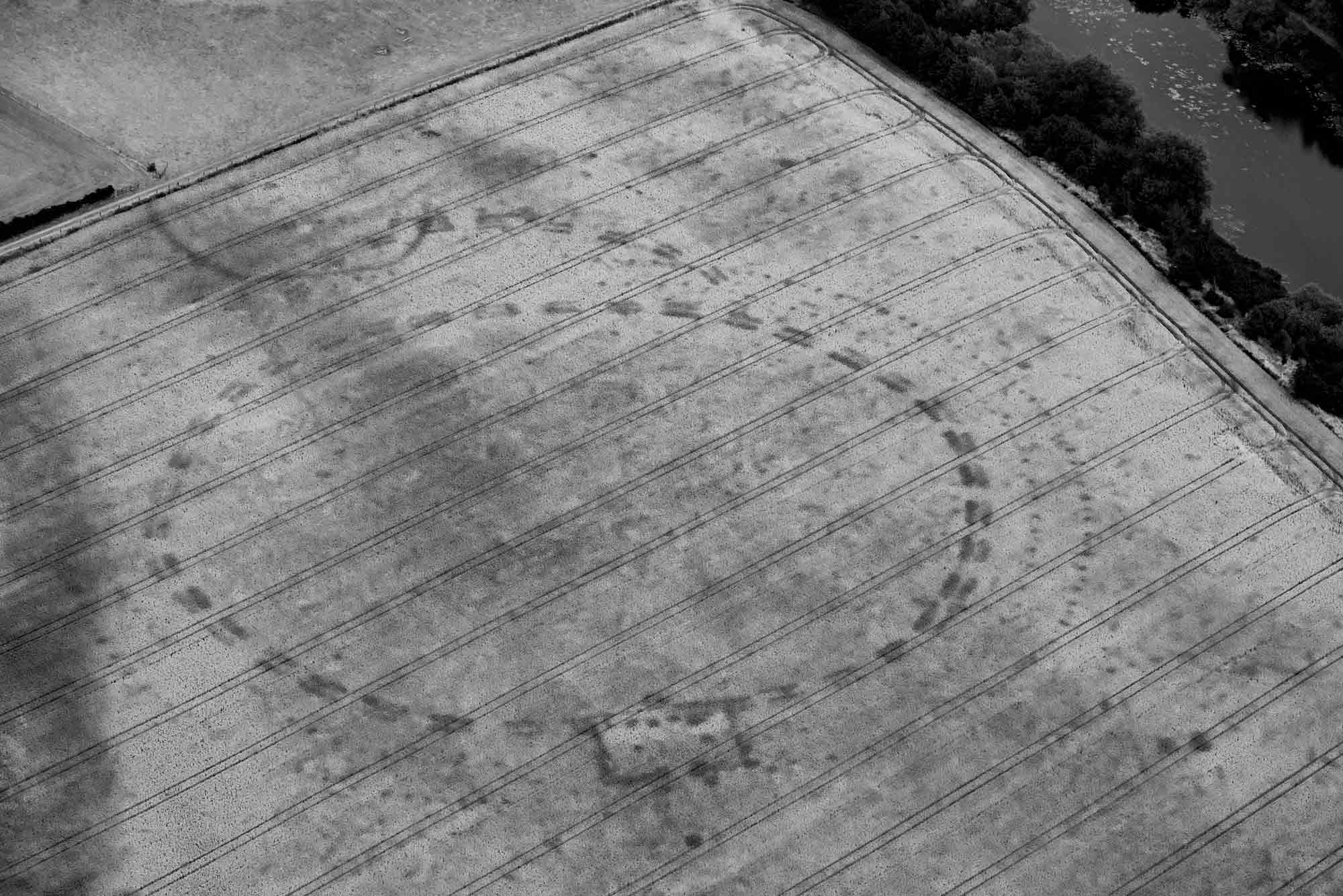 High-contrast image of the Geometric Henge, looking south-east.