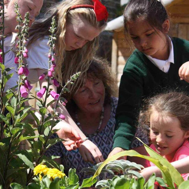 Scoil Scairte Pop Up