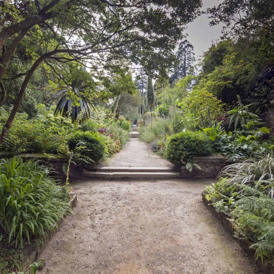 National Botanic Gardens Kilmacurragh, an oasis of rare horticultural delights