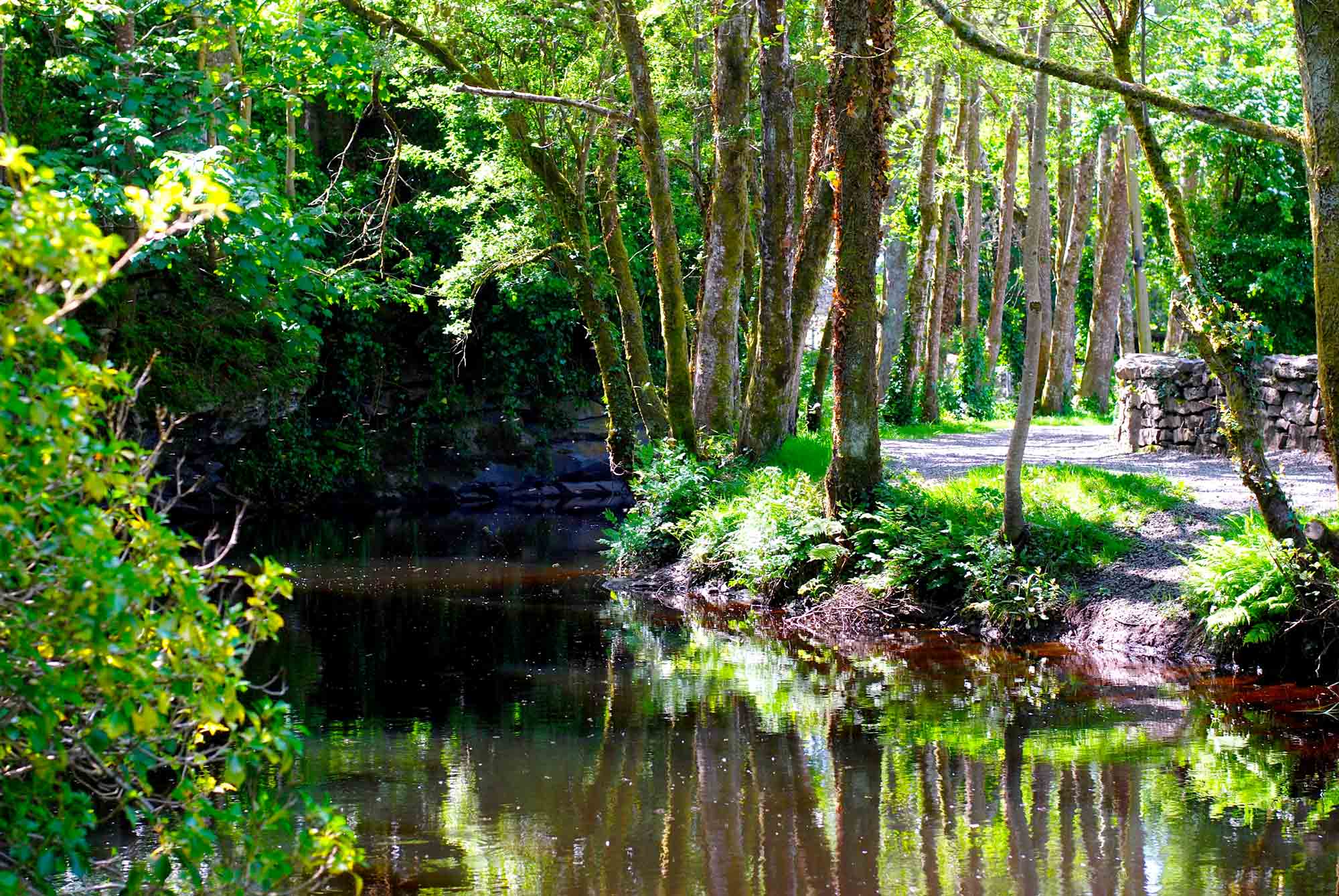 River Drimeen