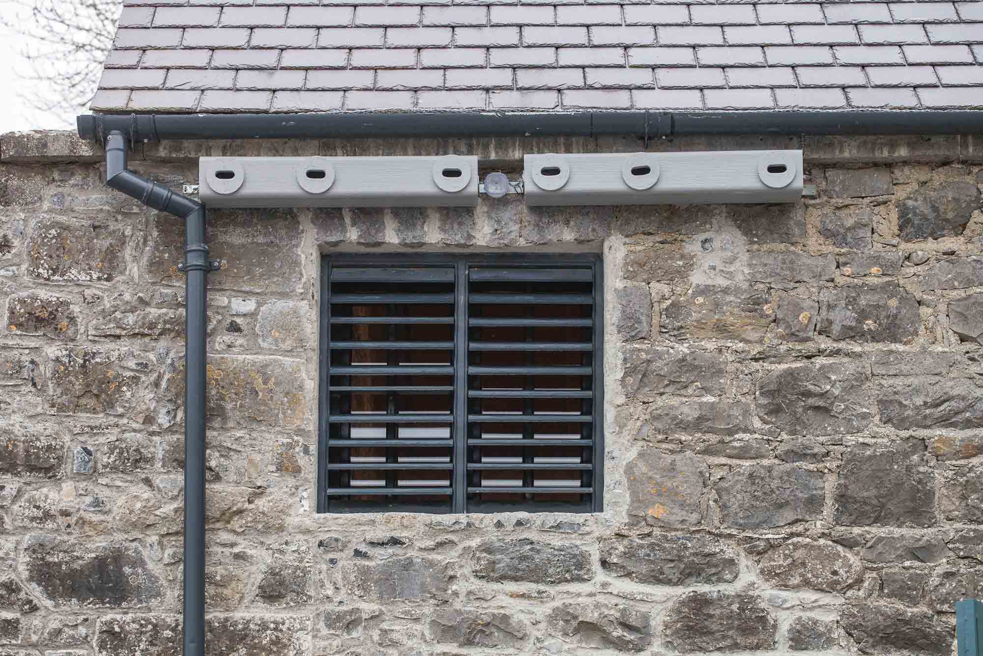 Specialised Swift nest boxes at Portumna Castle
