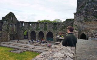 Surveying Swifts at Jerpoint Abbey