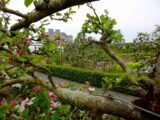 View of Portumna Castle from the Kitchen Garden