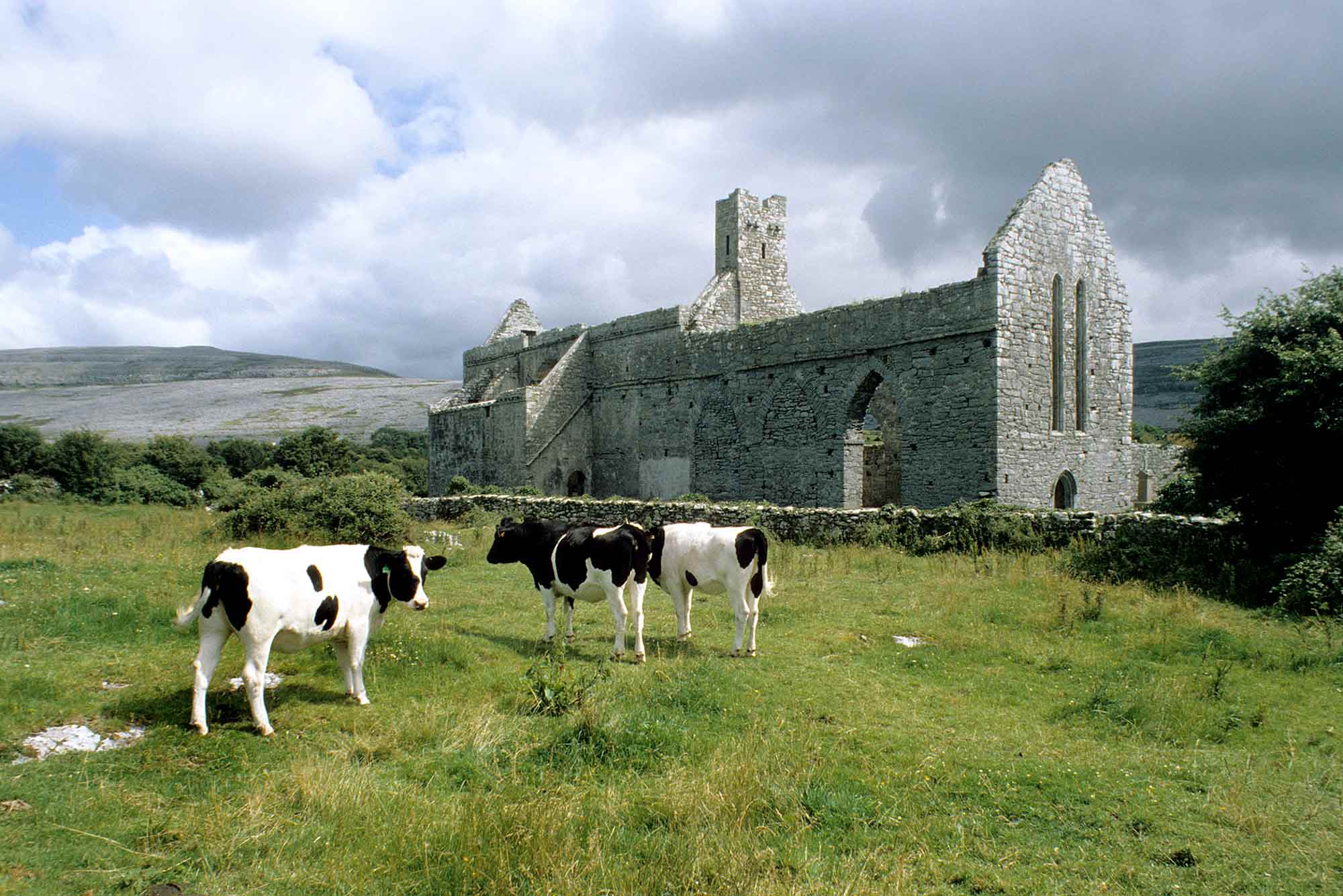 Corcomroe Abbey, Co. Clare