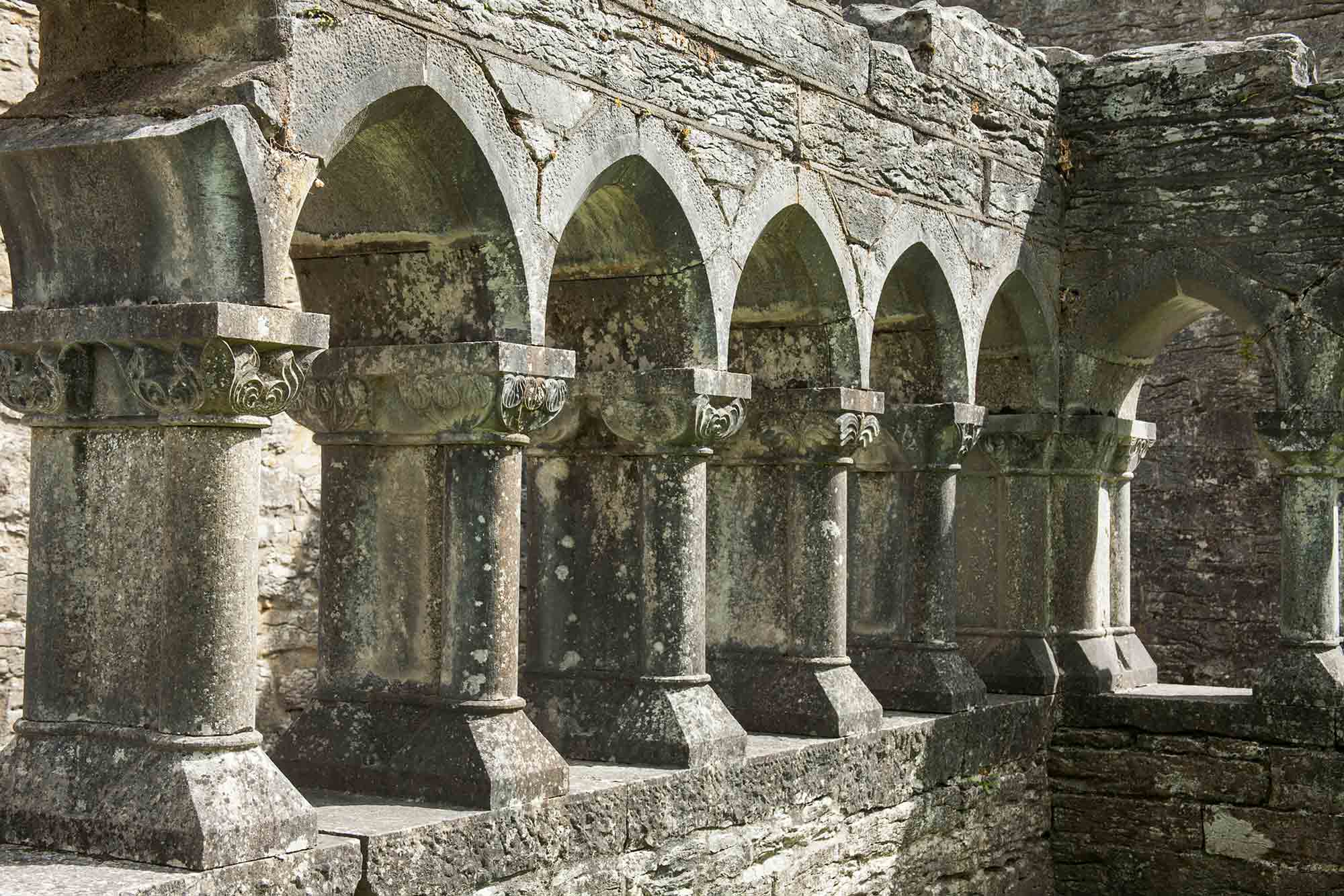 Cloister remains