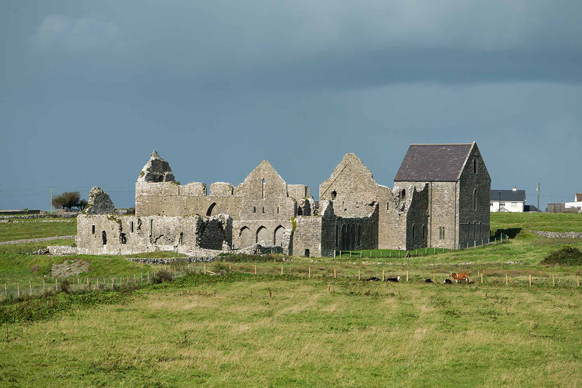 Abbeyknockmoy, Co. Galway