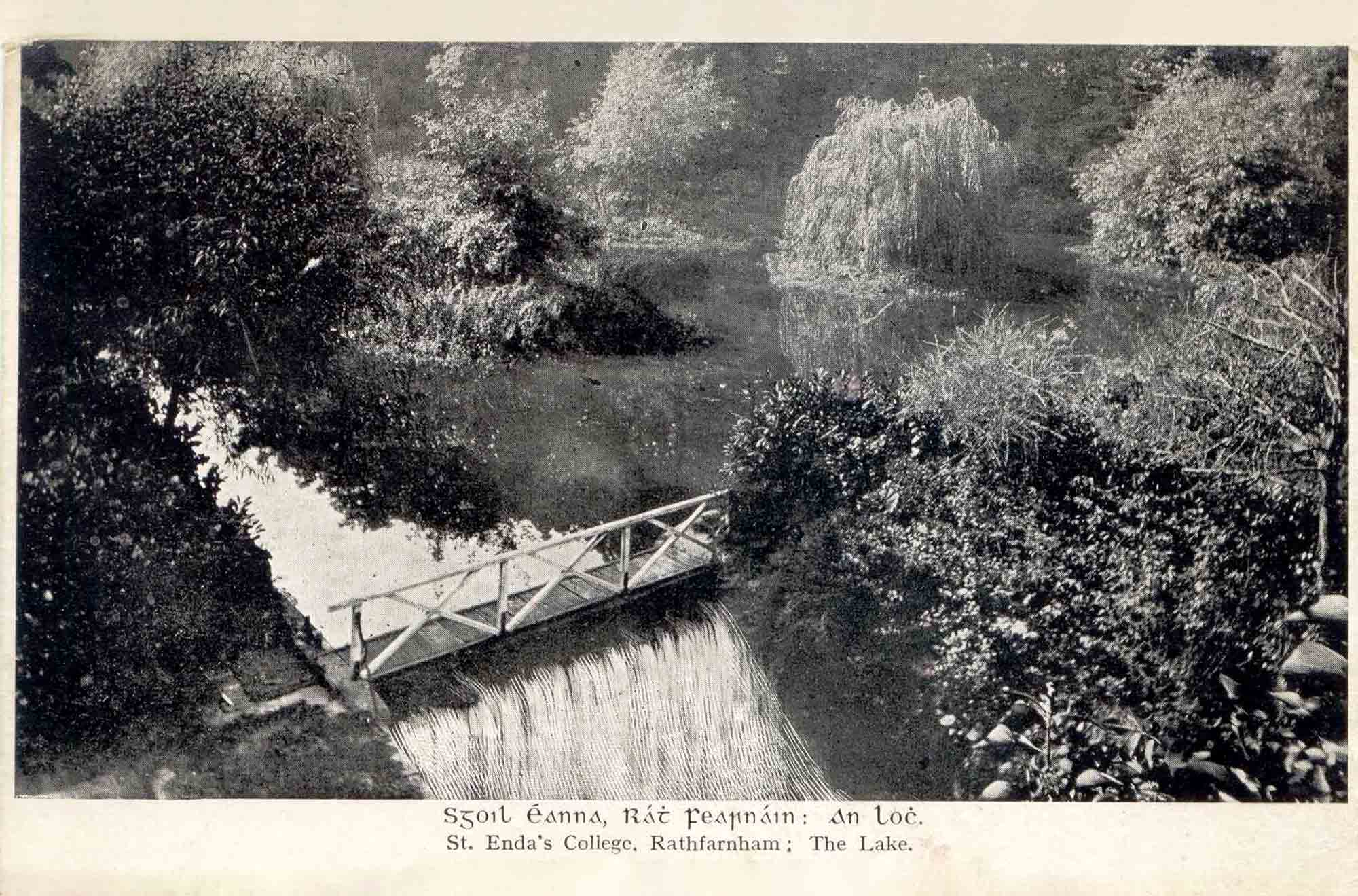 Image of the Lake
