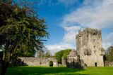 Aughnanure Castle from the East.