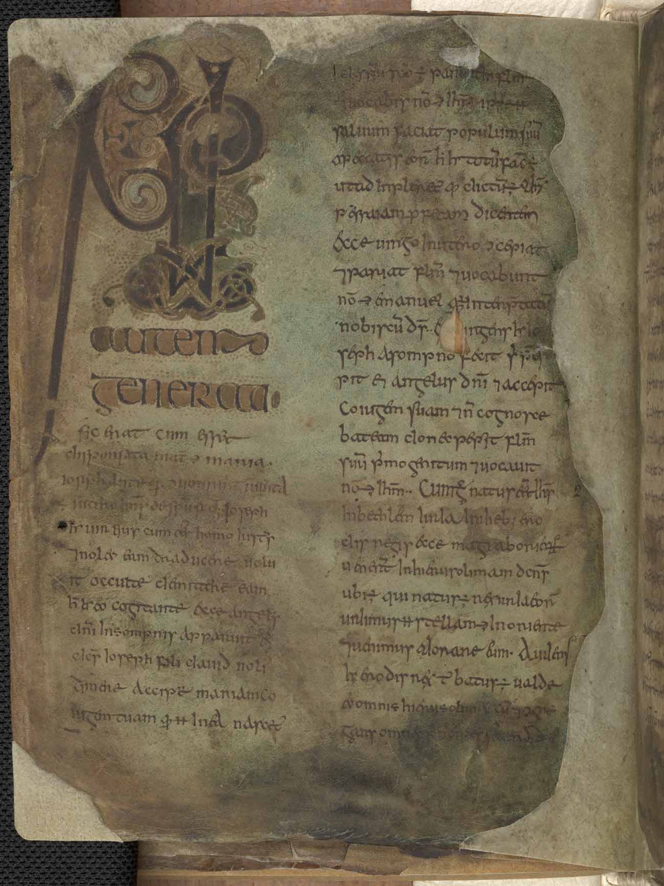 Book of Mulling