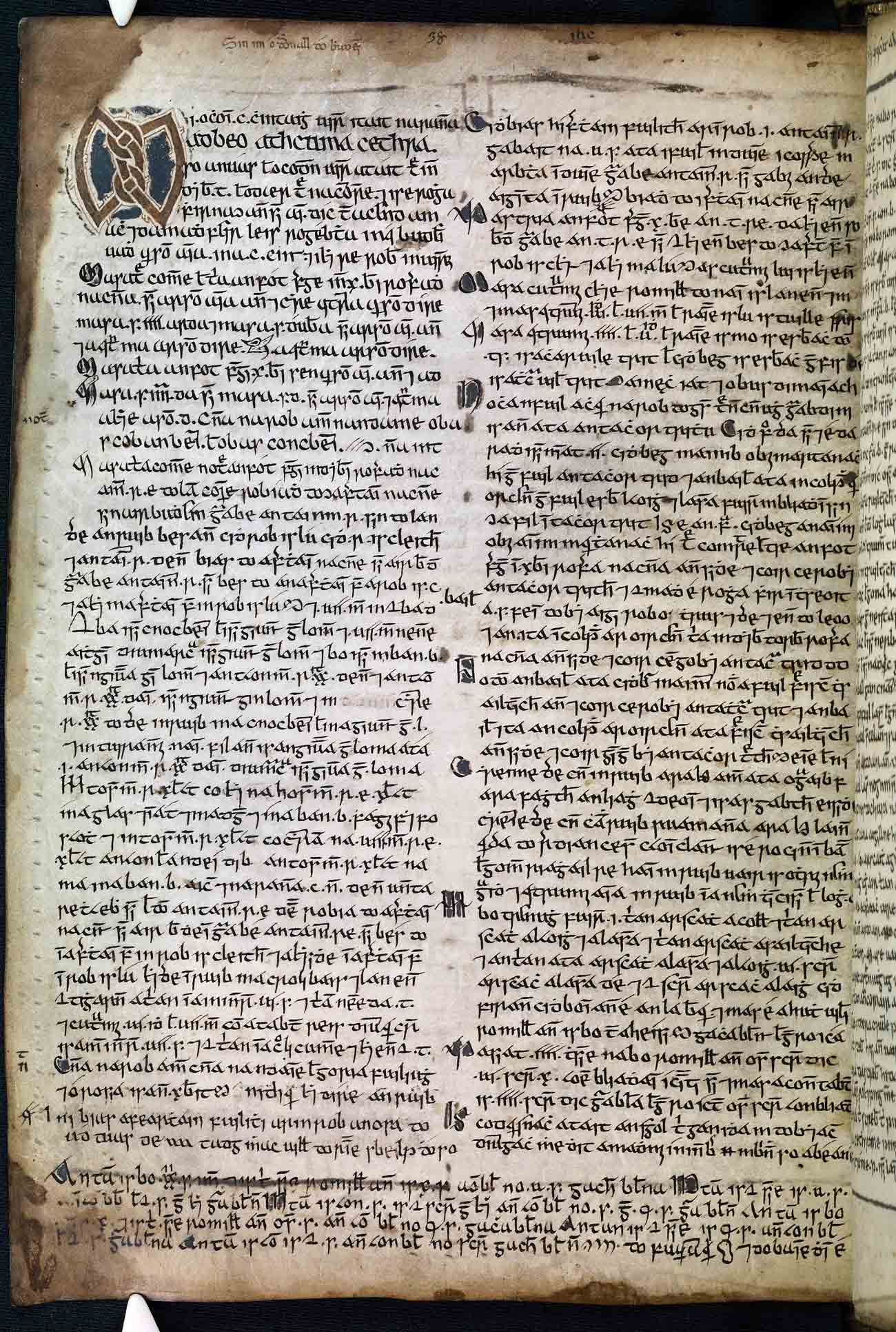 Book of Donal O’Davoren RIA MS23 Q6 page 38