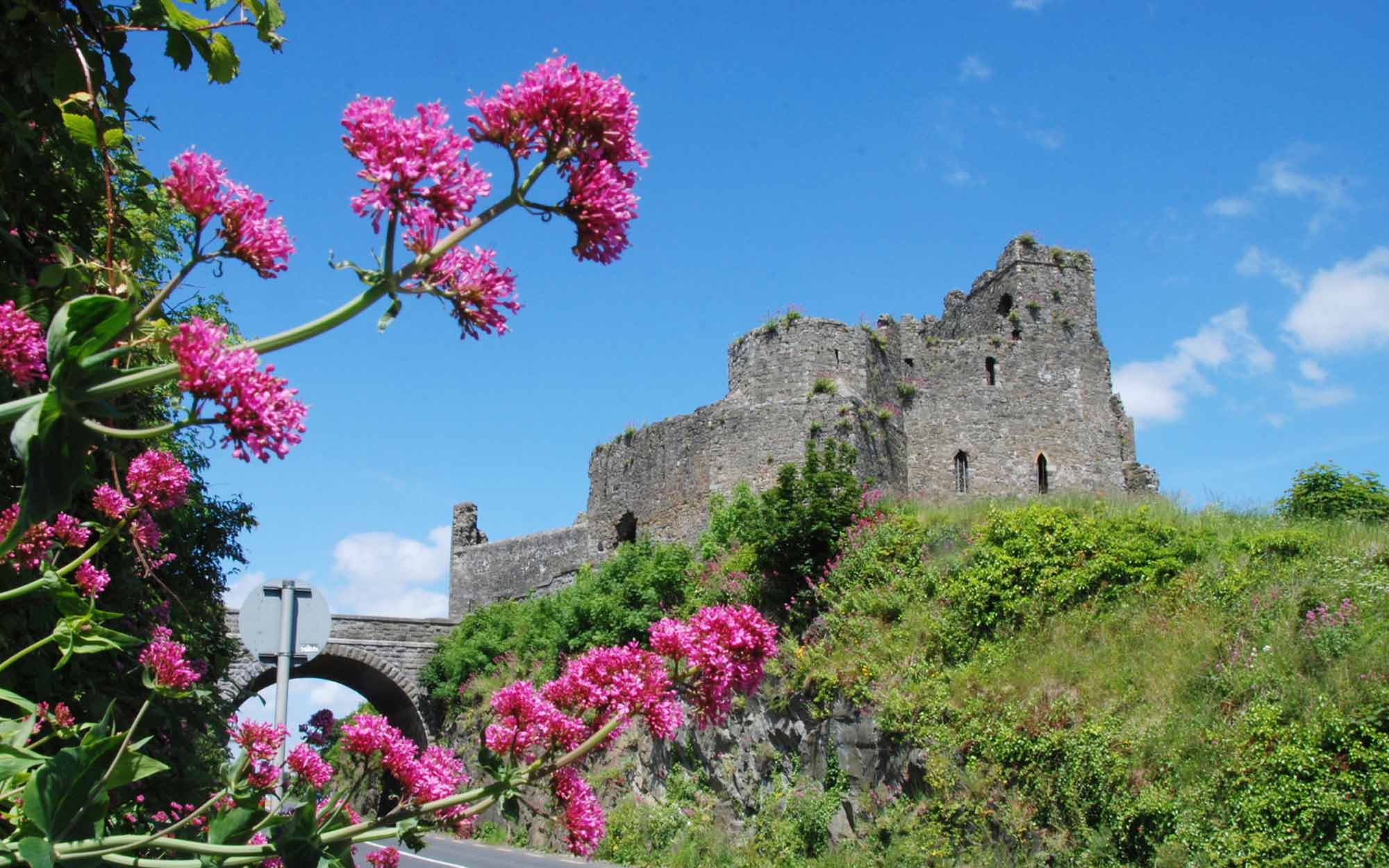 Carlingford Castle Wedding