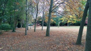St Enda's Park in Autumn