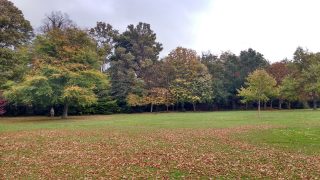 St Enda's Park in Autumn