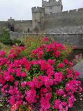 Cahir Castle