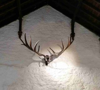 The Antlers of the Giant Irish Deer in the Banqueting Hall at Cahir castle